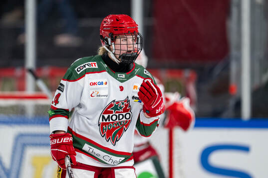 Modos Ebba Hedqvist
