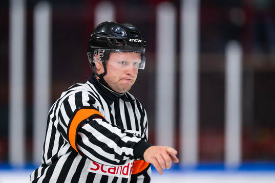 Domare Christoffer Palmqvist