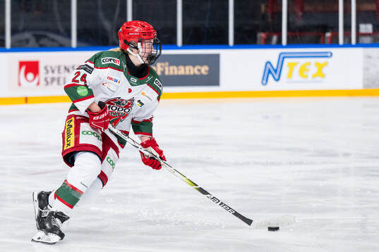Modos Ebba Hedqvist