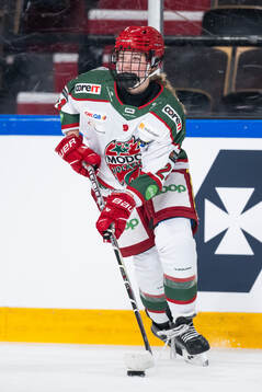 Modos Ebba Hedqvist