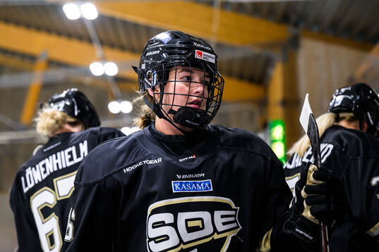 Under ishockeymatchen i SDHL mellan SDE och Leksand