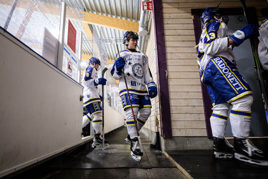Leksands spelare