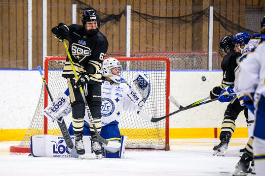Leksands målvakt Ellen Jonsson och