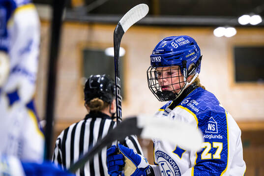 Under ishockeymatchen i SDHL mellan SDE och Leksand