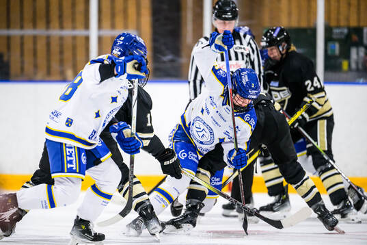 Leksands Taylor Leech