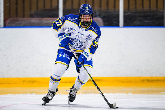 Leksands Tereza Radova