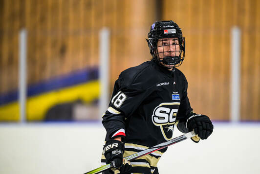 SDE under ishockeymatchen i SDHL mellan SDE och Leksand
