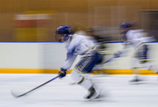Leksand spelare