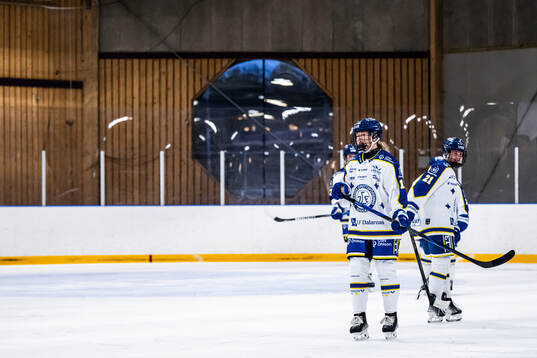 Leksands Ida Press deppar