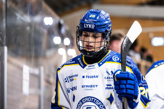 Leksands Linnea Horn