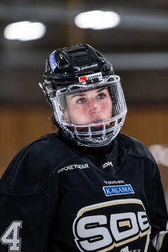SDEs Liliane Perreault