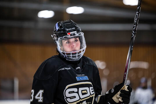 SDEs Liliane Perreault