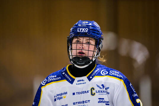 Leksands Courtney Vorster