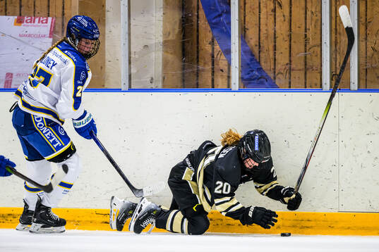 Leksands Shay Maloney och SDEs Andrea Kaspersen