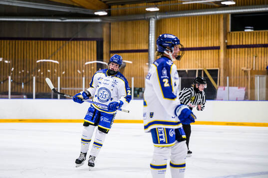 Leksands Shay Maloney deppar