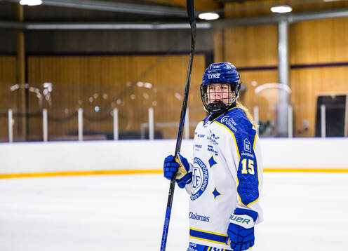 Leksands Ida Press