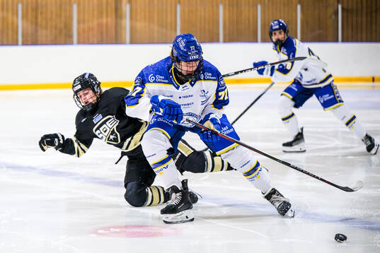 Leksands Tereza Radova