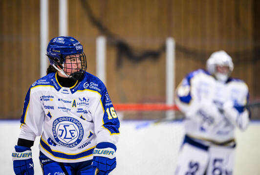 Leksands Matilda Af Bjur deppar