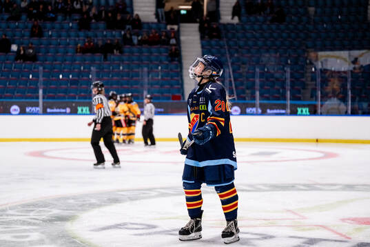 Djurgårdens Brette Pettet deppar