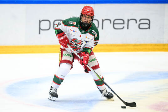 Modos Alexie Guay
