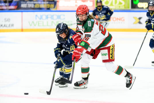 HV71s Tea Løkke Nyberg och Modos Brooke Mcquigge