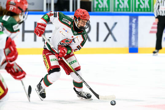 Modos Lovisa ENgström