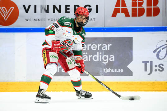 Modos Wilma Sundin