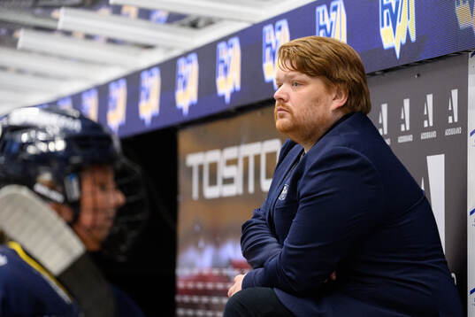 HV71s tränare Thomas Pettersen