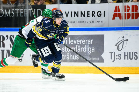 HV71s Wilhelm Hallquisth