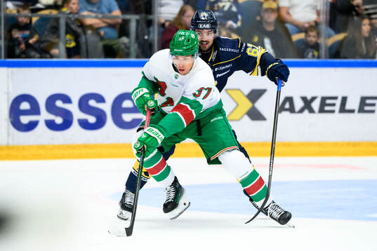 Rögles Albin Sundsvik och HV71s Oliwer Kaski