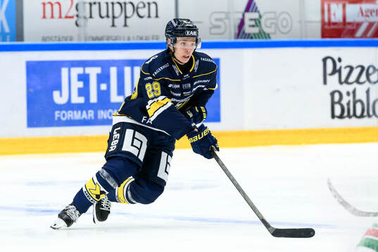 HV71s Wilhelm Hallquisth