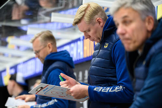 HV71s tränare Anton Blomqvist