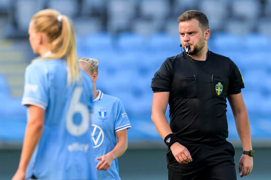 Domare Ellmedin Rexhepllar