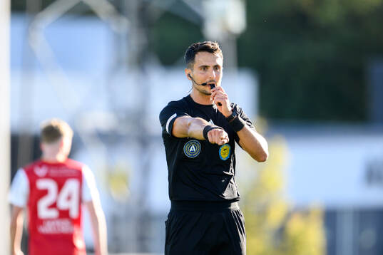 Domare Adi Aganovic