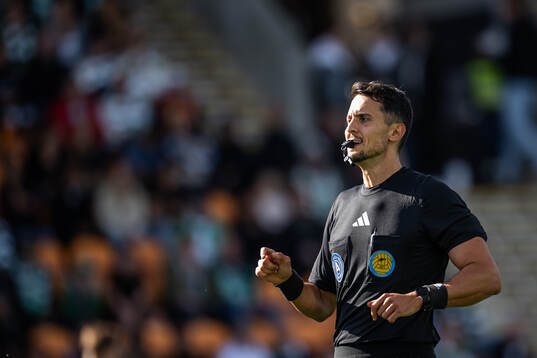 Domare Adi Aganovic