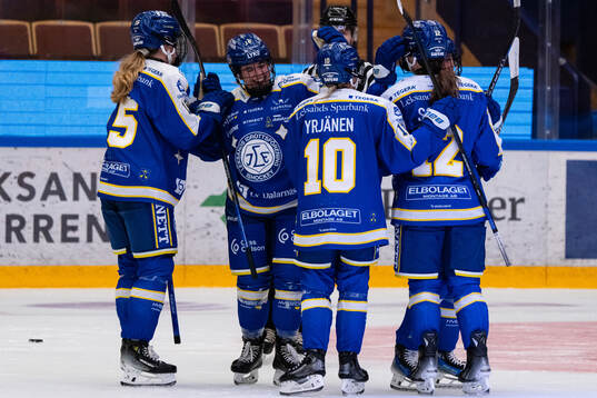Leksands spelare jublar