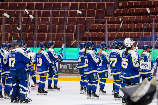Leksands spelare jublar