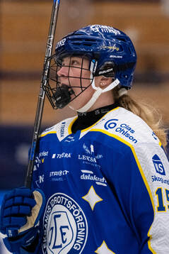 Leksands Ida Press