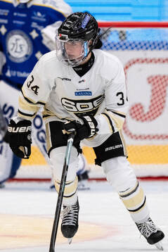 SDEs Liliane Perreault