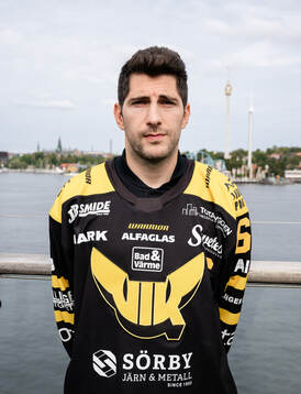 Västerås Konstantin Komarek
