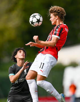 Milans Maximilian Ibrahimovic