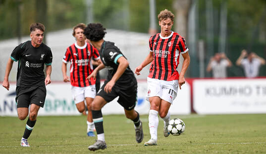 Milans Maximilian Ibrahimovic