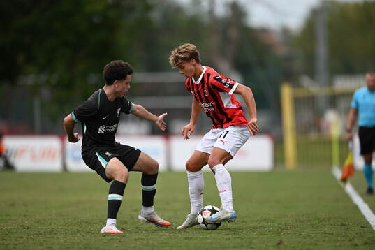 Milans Maximilian Ibrahimovic