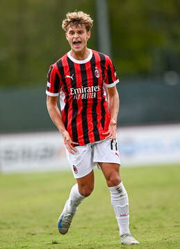 Milans Maximilian Ibrahimovic