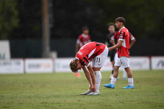 Milans Maximilian Ibrahimovic