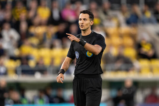Domare Adi Aganovic