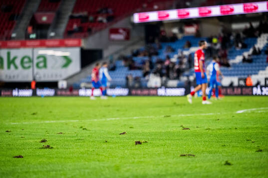 Grästuvor på planen