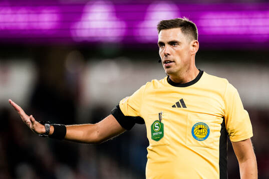 Domare Magnus Lindgren