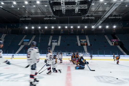 Linköping och Djurgårdens spelare