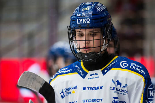 Leksands Linnea Horn